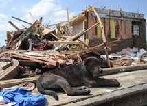 Tornado zabiło co najmniej siedem osób