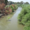 Biskupi pielgrzymują nad Jordan