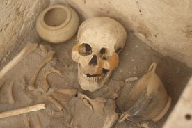 Ludzkie szczątki na budowie drogi 