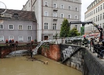 Wrocław przed falą kulminacyjną 