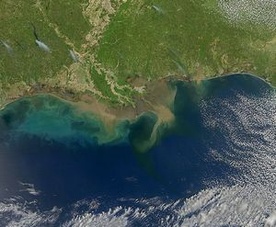 Komisję wyjaśni okoliczności zanieczyszczenia wód Zatoki Meksykańskiej