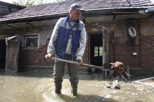 50 tys. gospodarstw rolnych ucierpiało