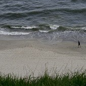 Na Bałtyku powstanie rezerwat morski
