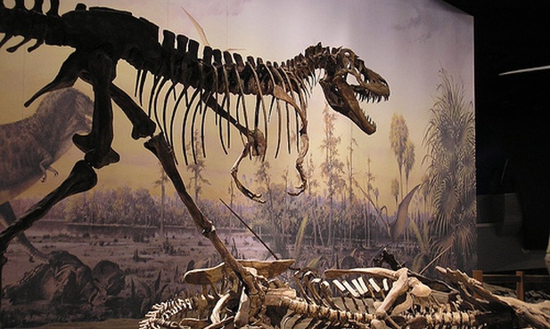 Meksykański, rogaty dinozaur