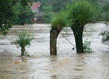 Tarnów: Rekordowa pomoc dla ofiar powodzi
