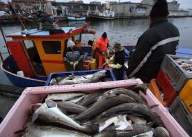 UE: Wspólnie w obronie kwot rybnych