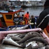 UE: Wspólnie w obronie kwot rybnych