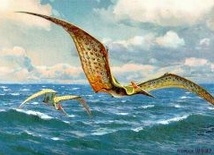 Atrakcyjne czuby pterozaurów