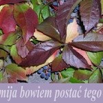 przemija bowiem postać tego świata