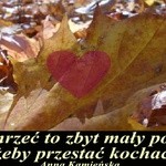 zbyt mały powód