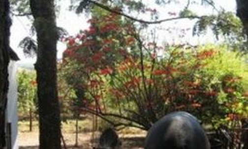 Muli shani Zambia!