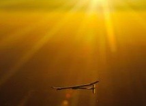Solar Impulse zakończył lot
