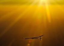 Solar Impulse zakończył lot