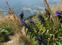 Bieszczady sprzyjają turystyce