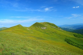 Tarnica