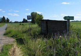 A paniusia ciągle o jednym