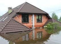 Szkody większe niż sądzono