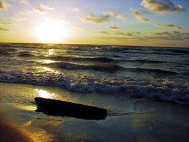 Mina na plaży
