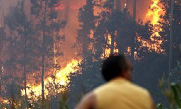 W Portugalii szaleją pożary lasów