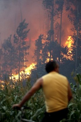 W Portugalii szaleją pożary lasów