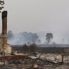 Rosja: płonie 120 tys. hektarów lasów