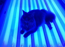 Uwaga na solarium