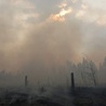 Rosja: Pożary będą kosztować 15 mld USD