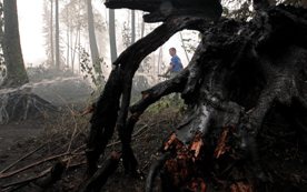 Rosja: Powierzchnia pożarów coraz mniejsza