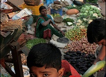 Indie, Madhya-Pradesh