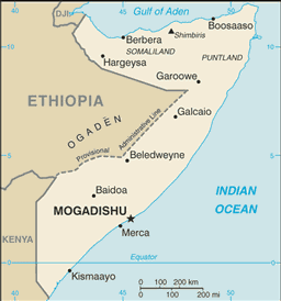 FAO: Lekka poprawa sytuacji w Somalii