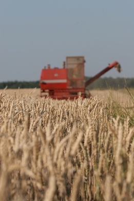 Polska i Słowenia za silną polityką rolną