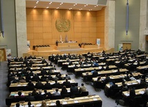 ONZ: Wybrano niestałych członków Rady Bezpieczeństwa