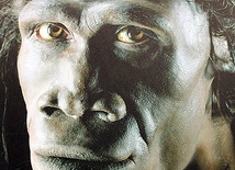 W Polsce odkryto ślady Homo erectusa