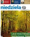 Niedziela 43/2010