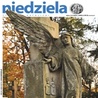 Niedziela 44/2010