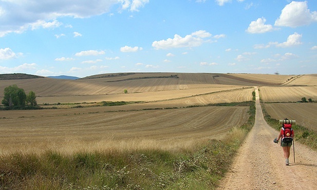 Za muszelką marsz!