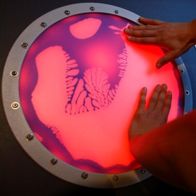 Jak humanista z przyrodnikiem