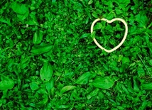 Miłość jest wszystkim