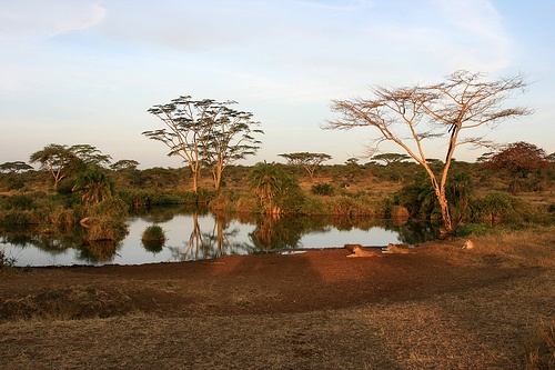 UNESCO ostrzega Tanzanię