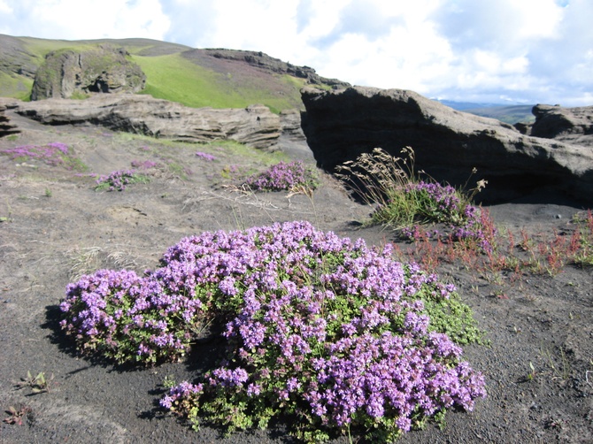 Islandia