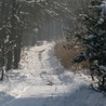 Bieszczady: Śnieg i mróz