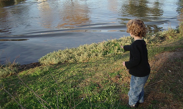 Chory patyczak i dzieci