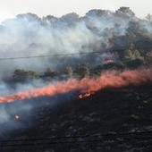 Apel o pomoc międzynarodową