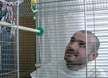 A papuga ani rusz…