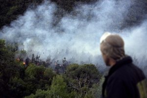 Pożary w Izraelu ugaszone