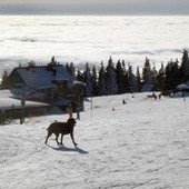 Śnieżna zima to powrót do normalności 