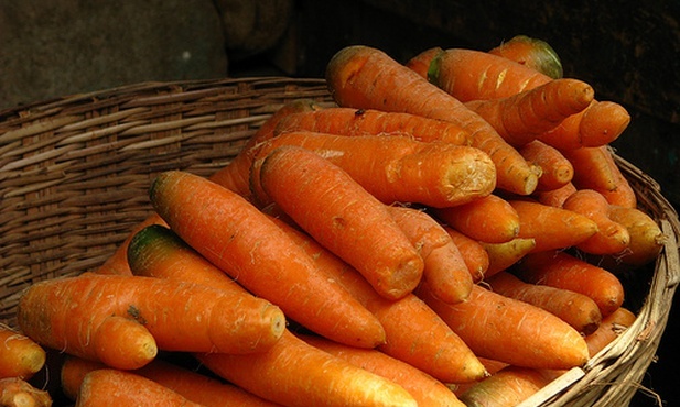 Traktat o obieraniu marchwi