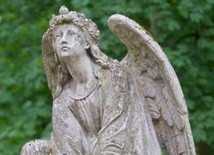 Aniołowie ratujący od rozpaczy