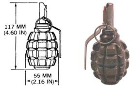 Masz synku granat