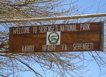 Serengeti zagrożone autostradą
